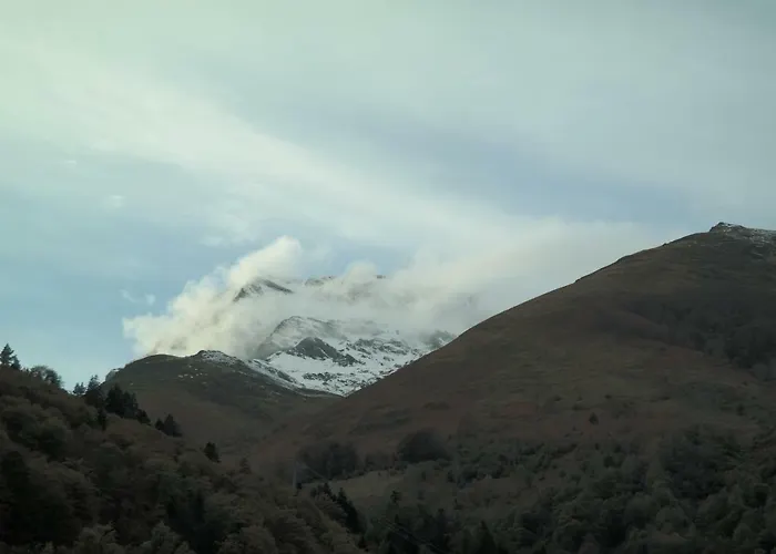 Valériane