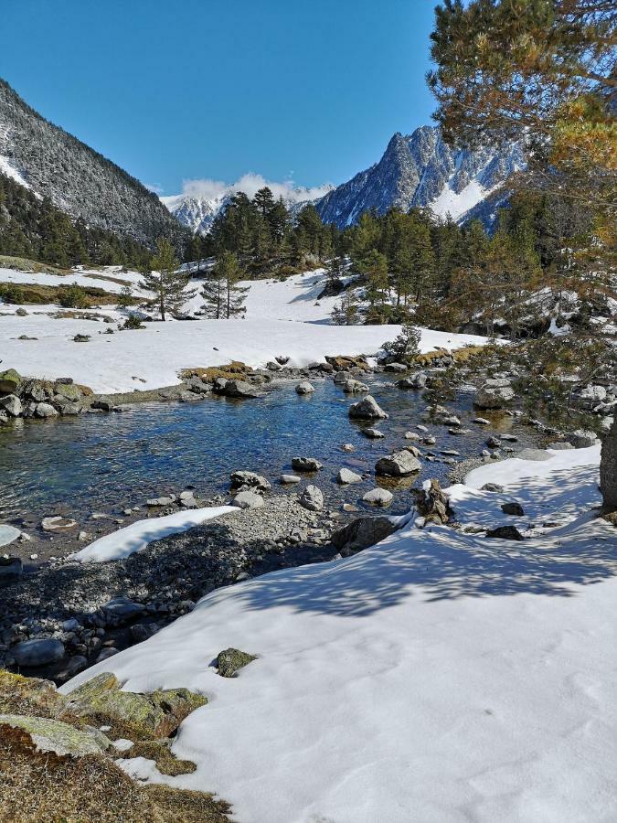 Valériane * Cauterets