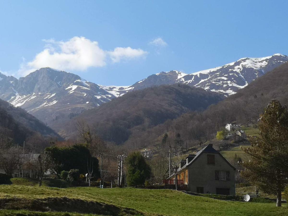 Valériane *