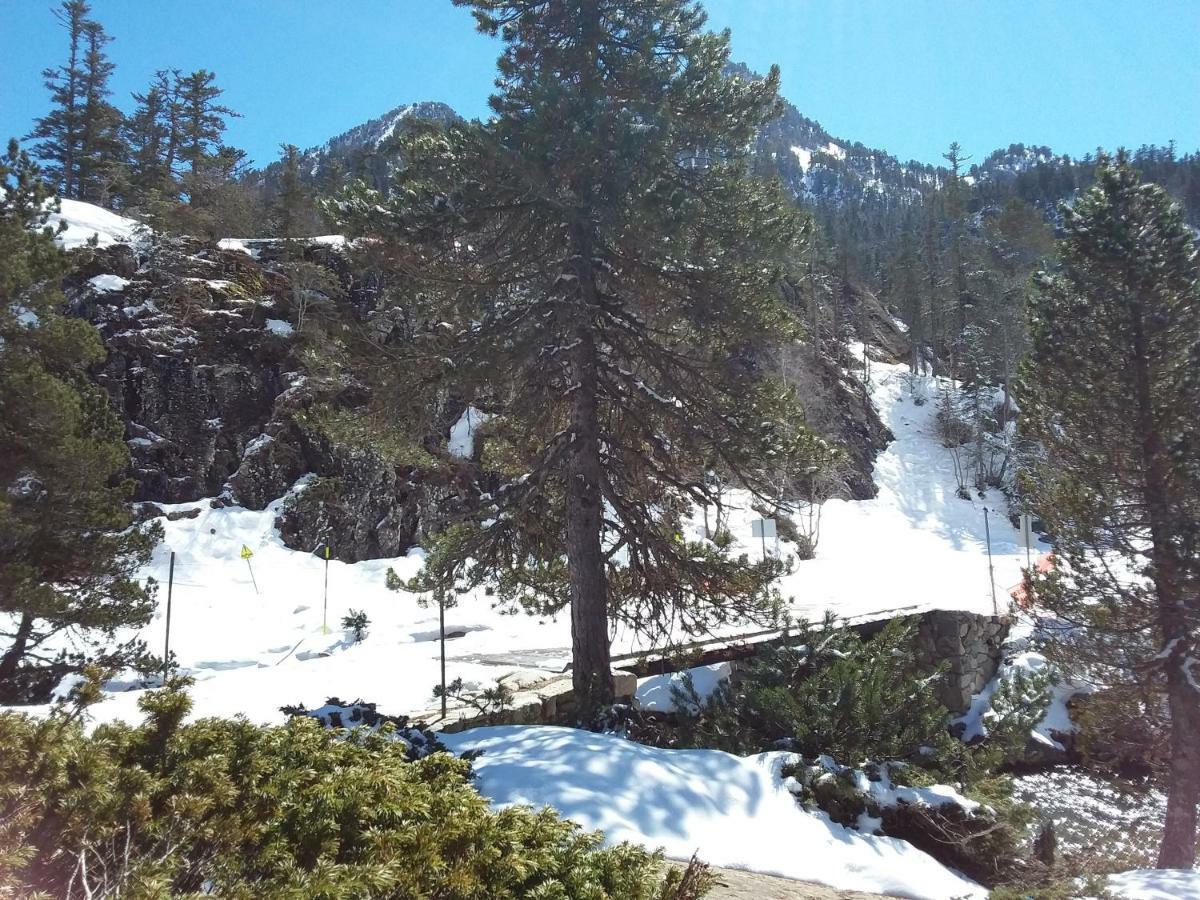 Valériane * Cauterets